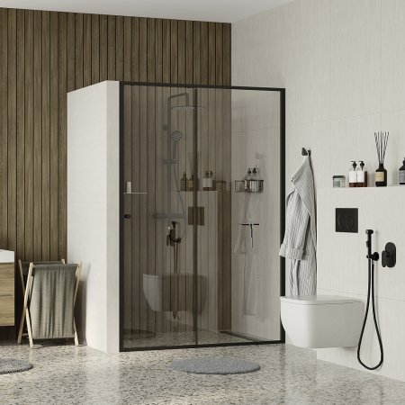 Душевая дверь в нишу WasserKRAFT Dill 61S12, стекло 