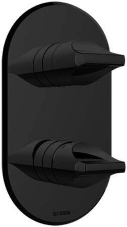 Смеситель для душа Bossini Apice Z00501.073 Черный матовый 