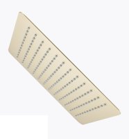 Верхний душ Raglo R451.55.03, сатин золотой