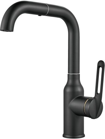 Смеситель для раковины Raffine F201H, черный 