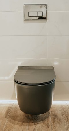 Унитаз Creto Logan L1 1001-003-L1GMAT подвесной Серый матовый с сиденьем Микролифт 