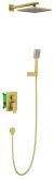 Душевой комплект Timo Selene SX-2069/17SM с внутренней частью, золото матовое 