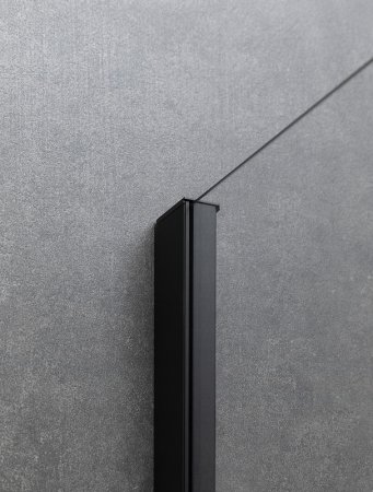 Душевая дверь Allen Brau Priority 140 3.31012.BBA профиль Черный брашированный стекло прозрачное 