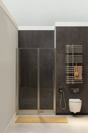 Душевая дверь Allen Brau Priority 90 3.31002.BA профиль Серебро брашированное стекло прозрачное 