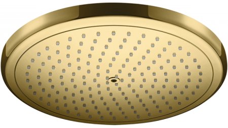 Верхний душ Hansgrohe Croma 26220990 Полированное золото 