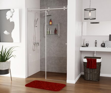 Душевая дверь WasserKRAFT Vils 56R05 