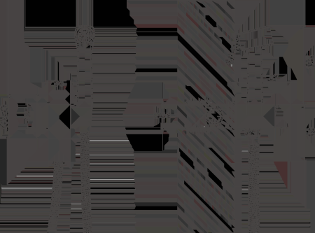 Смеситель BELZ с гигиенической лейкой золотой (B55805-5) 