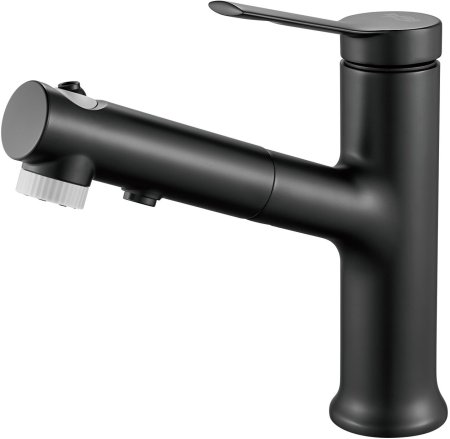 Смеситель для раковины многофункциональный Raffine F281H, черный 