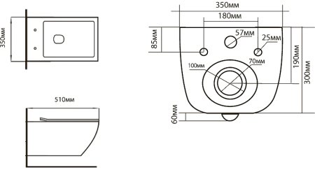 Унитаз Black&White Universe W-730 730W00 подвесной с сиденьем Микролифт 