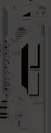 Душевая система BELZ черный (B24812-7) 