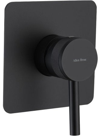 Смеситель для душа Allen Brau Priority 5.31012-31 Черный матовый 