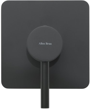 Смеситель для душа Allen Brau Priority 5.31012-31 Черный матовый 
