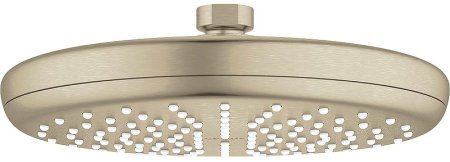 Верхний душ Grohe Tempesta 210 26409EN0 Никель 