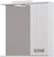 Зеркало со шкафом VIGO Diana z.DIA.70.R.El, 70 см