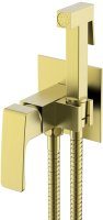 Гигиенический душ со смесителем  Raglo R01.52.03, сатин золотой