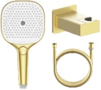 Лейка для душа с держателем и шлангом Raglo R476.41.03, золотой сатин