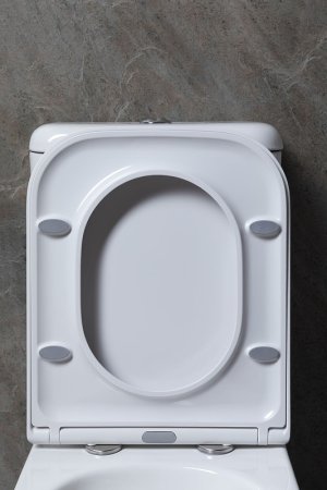 Унитаз компакт Allen Brau Infinity 4.21001.20 Белый без бачка и сиденья 