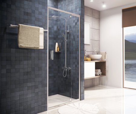 Душевая дверь в нишу WasserKRAFT Berkel 48P12 100 см 