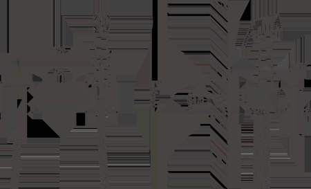 Смеситель BELZ с гигиенической лейкой черный (B55806-7) 