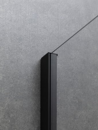 Душевая дверь Allen Brau Priority 90 3.31027.BBA профиль Черный браш стекло прозрачное 