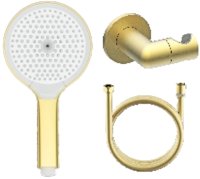 Лейка для душа с держателем и шлангом Raglo R476.43.03, золотой сатин
