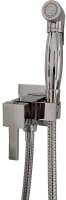 Гигиенический душ со смесителем Paini Kampana 53CR442QRU Хром Гигиенический душ со смесителем Paini Kampana 53CR442QRU Хром