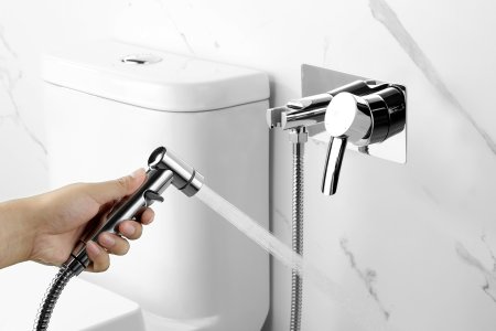 Смеситель Lemark Atlantiss с гигиеническим душем встраиваемый (LM3259C) 