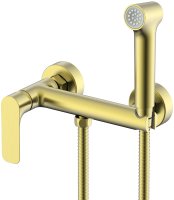 Гигиенический душ со смесителем Raglo R03.51.03, сатин золотой