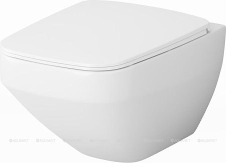 Подвесной унитаз AM.PM Inspire 2.0 C50A1700SC 