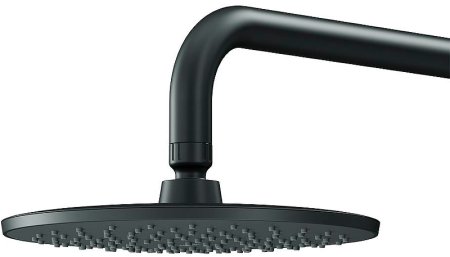 Верхний душ AM.PM Gem F0590022 Черный матовый 