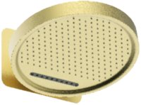 Верхний душ Raglo R452.02.03, золотой сатин