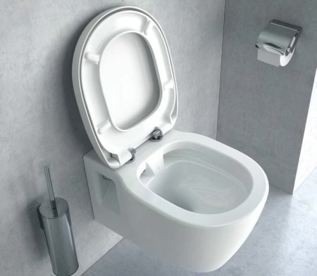 Унитаз подвесной Ideal Standard Connect E814901 