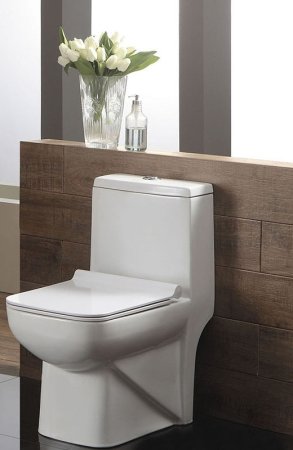 Унитаз моноблок Azario Zeno AZ-1169 с бачком и сиденьем Микролифт 