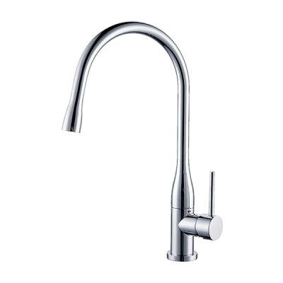Смесители для кухни Ganzer Rein GZ16035 Хром 