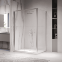 Душевой уголок RGW PA-142 (PA-21+Z-050-5) 900x1000