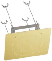 Верхний душ потолочный R452.03.03, золотой сатин