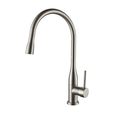 Смесители для кухни Ganzer Rein GZ16035G Сатин 