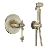 Гигиенический душ со смесителем Rose R0105Q, бронза