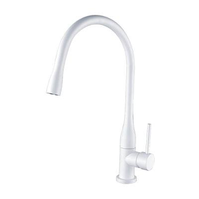 Смесители для кухни Ganzer Rein GZ16035F Белый 