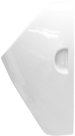 Писсуар Sanita Luxe Long LNGSLUR01 подвесной Белый 