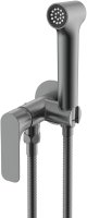 Гигиенический душ со смесителем Raglo R03.52.09, графит