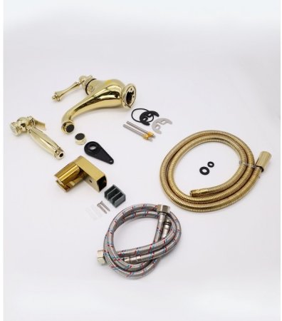 Смеситель для раковины с гигиеническим душем GANZER SEVERIN GZ77051E GOLD 