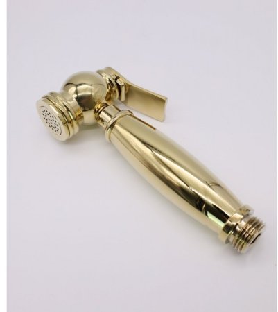 Смеситель для раковины с гигиеническим душем GANZER SEVERIN GZ77051E GOLD 