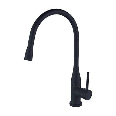 Смесители для кухни Ganzer Rein GZ16035C Черный 