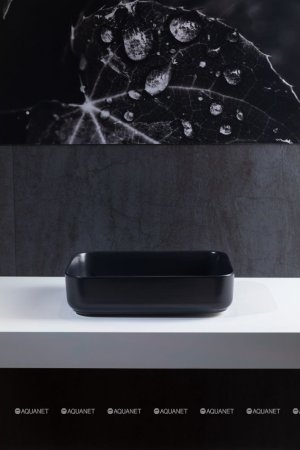 Раковина-чаша Allen Brau Fantasy 50 4.11021.31 Черная матовая 