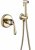 Гигиенический душ со смесителем Rose R0205E, золото 