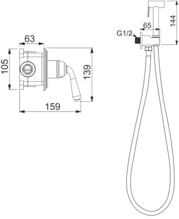 Гигиенический душ со смесителем Rose R0205E, золото 