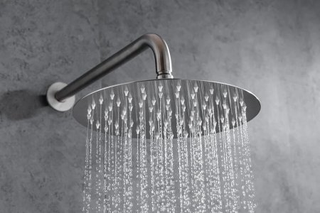 Верхний душ Allen Brau Priority 5.31017-BN Никель брашированный 