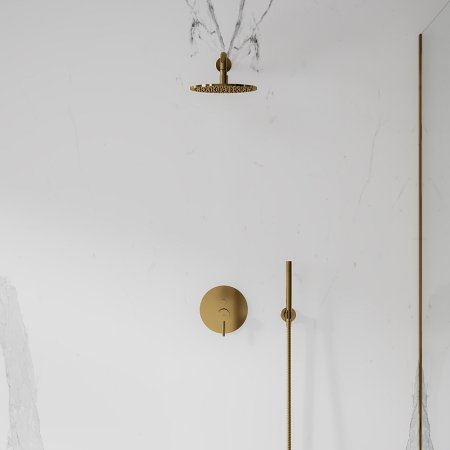 Ручной душ Omnires MICROPHONE-RGL Золото 