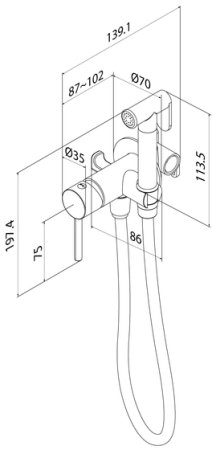 Встраиваемый смеситель с гигиеническим душем, матовое золото, IDDIS, 005MGR0i08 